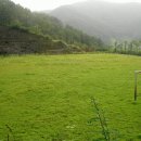 백야리산림욕장 이미지