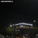 트레이닝데이 피트니스 네이버블로그