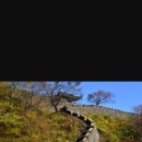 백제주유소 이미지