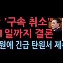 윤대통령 &#39;구속 취소&#39; 관련 긴급 탄원서...양식은 댓글에 고정 - 이미지