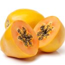 장신농장 이미지