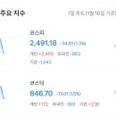 실시간 코스피 2500 붕괴 이미지