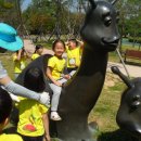 운천초교 병설유치원 이미지