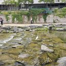 동대문문화역사공원 이미지