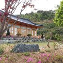 뜰안에 민박 이미지