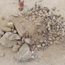 조치원명동초등학교 이미지