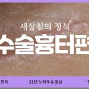 로담