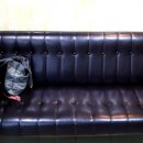 윤앤안마원 이미지