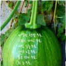 오소 이미지