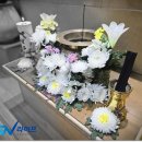 삼일병원장례식장