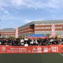 화성 이미지