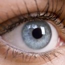 시원성형외과의원 이미지