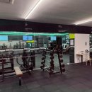 매일헬스트레이닝 이미지