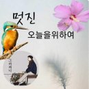 부라보 이미지
