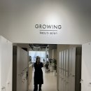 그로잉살롱 지제동삭점 | [동삭동미용실] 그로잉살롱 지제동삭점에서 톤다운 후기