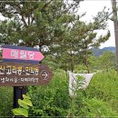 금지면 매촌마을 이미지