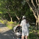 새롬세탁 - 순천시 연향번영길 39 | [춘천 유모차/카시트 세탁] 잉글레시나 일렉타 절충형 세탁 후기 '유모차세탁 카시트세탁 지우미 춘천점'