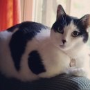 산골공작소 이미지