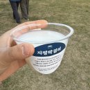 [공연] 2025 코리아 메모리얼 뮤직 페스타 (정준일/김창완밴드/찬열/넬) in 올림픽공원 후기