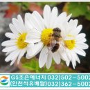 용동주유소 이미지