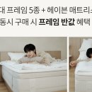 봉선로R 네이버블로그