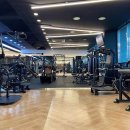 브라운 휘트니스 이미지