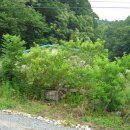 온천공인중개사사무소 이미지