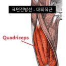 영짐(YOUNG GYM) 이미지