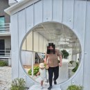 윤월드푸드 | 가볼만한 곳 - 체스터톤스 경주 더 테라스 호텔, 루트11 풀빌라 여름 숙소, 동궁원 식물원, 루지 후기