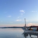 바다수산대게마트 이미지