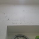 365 아이맘약국 네이버블로그