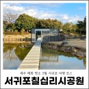칠십리공원 | 제주 매화 명소 서귀포칠십리시공원 3월 서귀포 여행 코스