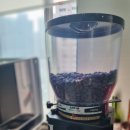 바리스타 (금) (자격증반) 이미지