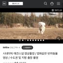 아이엠필름(IMFILM)