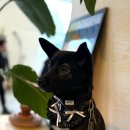 신기3길L 이미지