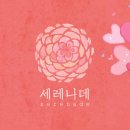 2017-03-0421 | [랜딩트래블] 본식 준비 - 주례없는 예식 사회자 및 축가 섭외