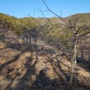 사봉면-7 이미지