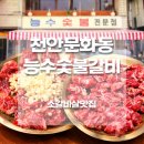 더소갈비살 | 천안문화동맛집 능수숯불갈비│천안역 근처 가성비 소갈비살 맛집 후기
