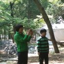 시전초등학교 이미지