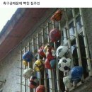 길성장 | 불토에는 유머♡