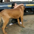 근수농장 이미지