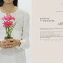 시립무용단 제64회 정기공연 이미지