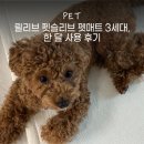 동그라미펫 | 릴리브 펫슬리브 펫매트 3세대, 슬개골 걱정 끝? 한 달 사용 후기