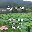 둥이네 | 횡성 청일 갑천 카페 추천/ 연꽃 가득한 둥이네 정원 한옥 카페 방문 후기