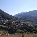 남파랑길 46코스 이미지