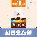 빛돌커뮤니케이션 - 688835 | 빛돌커뮤니케이션
