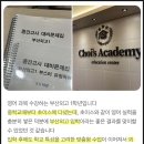 초이스영어교습소 - 용인시 기흥구 흥덕2로118번길 22 | 분포초 영어, “스스로 하는 힘”부터 키웁니다 | 힐탑 초등 영어 학원