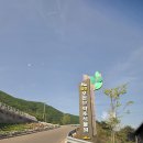 중골내 | 영천 작약꽃밭 &amp; 축제 실시간 후기