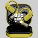 383 | 블라우풍트 오픈픽 오픈형 블루투스 이어폰 BLP-OE383 내돈내산급 리얼후기 및 할인 혜택 정리