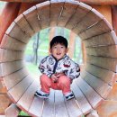 자연사랑어린이집 | [새하늘어린이집 기쁨가득반 봄꽃 탐방] 원적산 첫 원외활동 생생후기 + 봄 자연체험